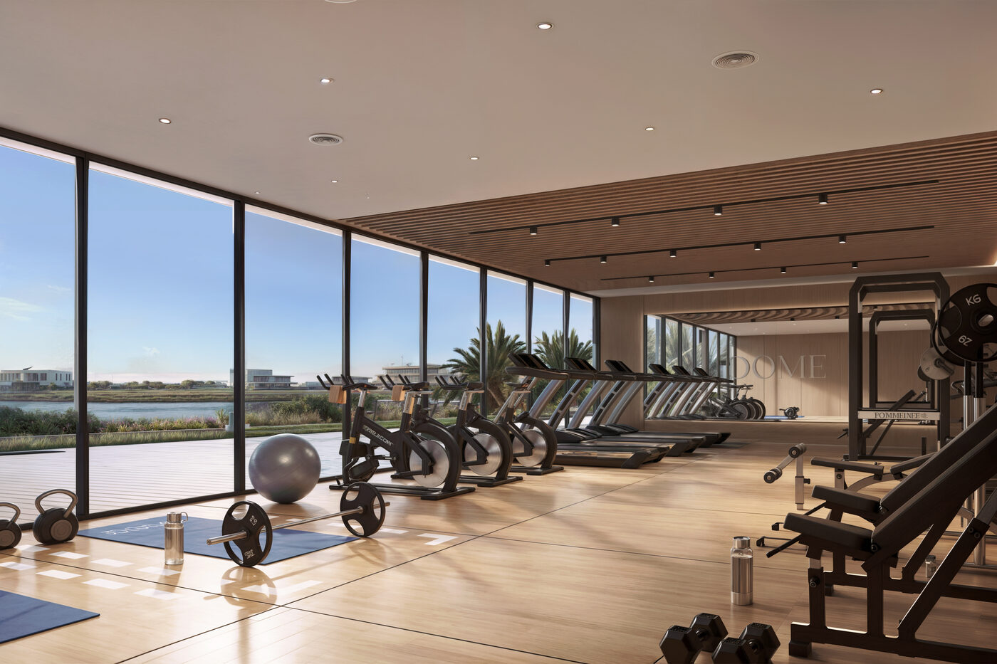 Gimnasio